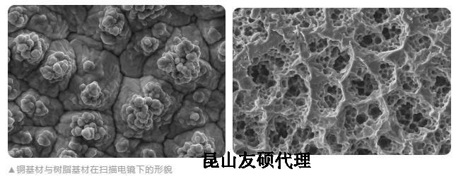 益阳蔡司益阳扫描电镜